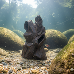 Загрузить изображение в средство просмотра галереи, Грот в акваріум Стрімка Скеля
