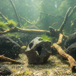 Загрузить изображение в средство просмотра галереи, Декорація Грот для акваріума Magma Boulder
